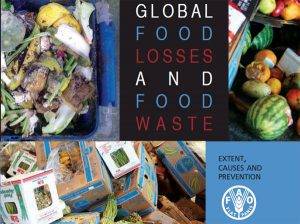 tirar global food