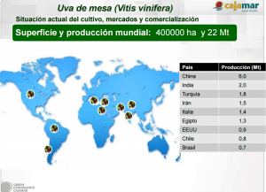 Cajamar Producc mundial UVA