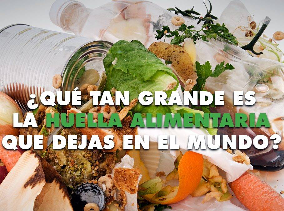 El derroche de alimentos de los españoles