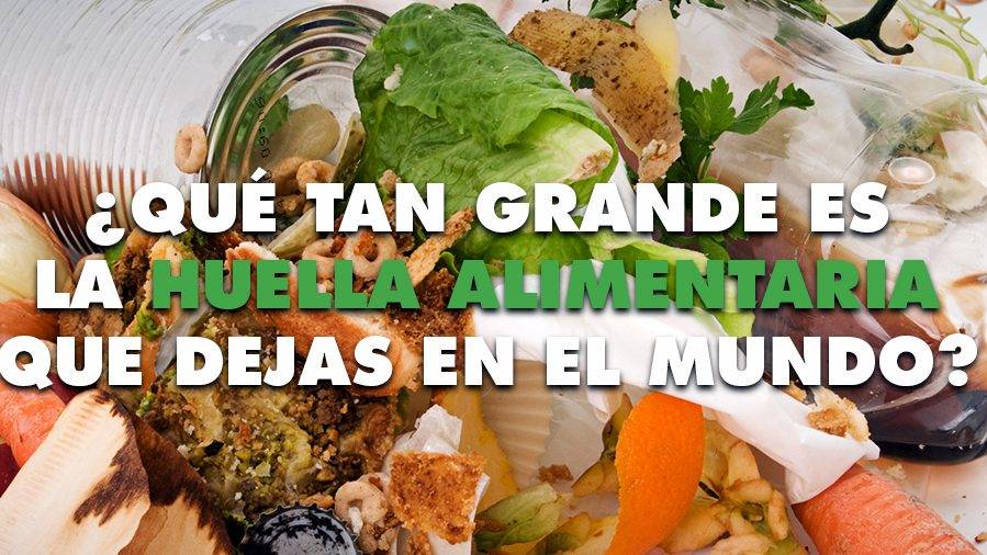 El derroche de alimentos de los españoles