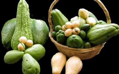 Chayote una hortaliza con atributos nutricionales
