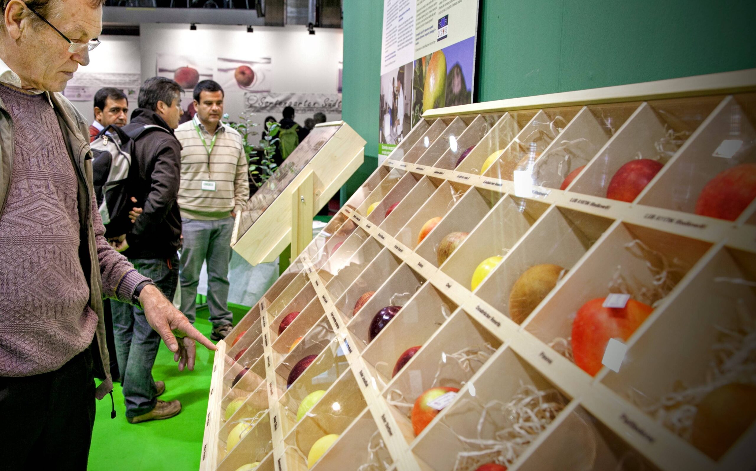 En manzanas los aspectos de calidad, variedades y la eficiencia del marketing y logística son determinantes