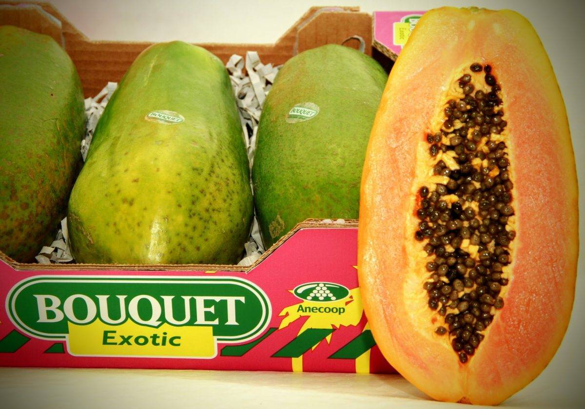 Anecoop comercializará papaya con “Exóticos del Sur”