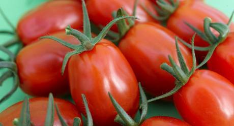En la frutería uno de cada 3 tomates son snack