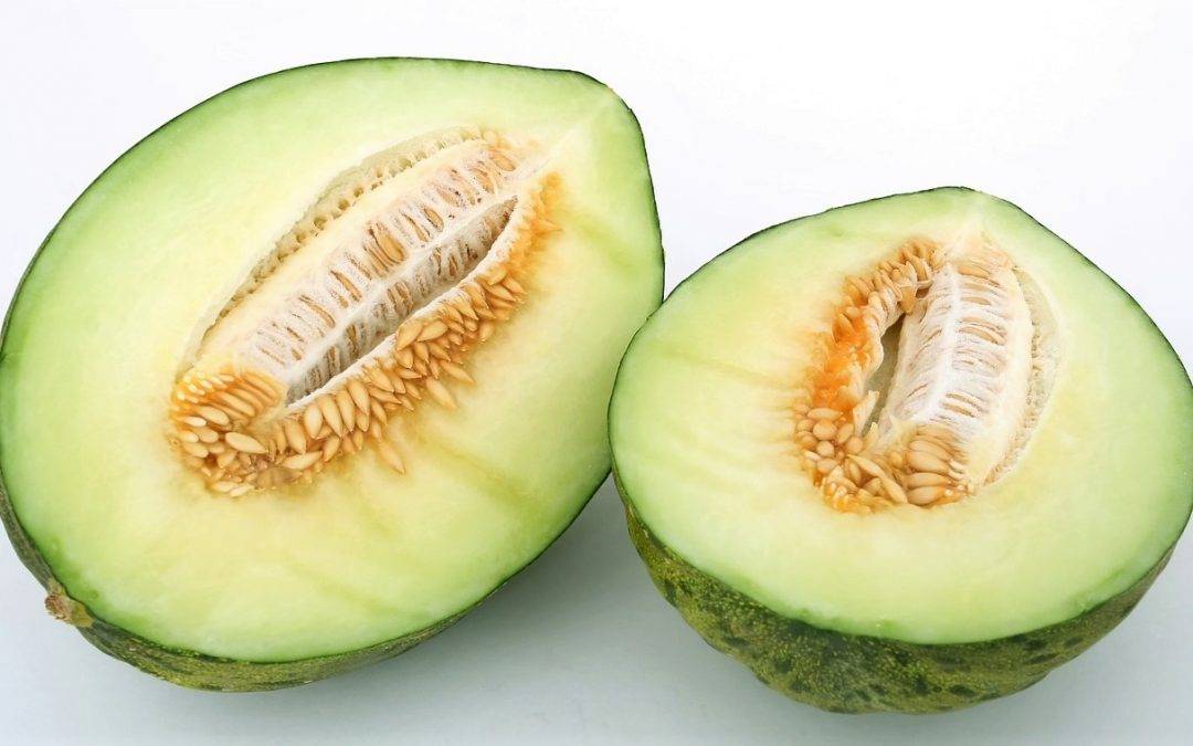 Diversidad y formas de los melones
