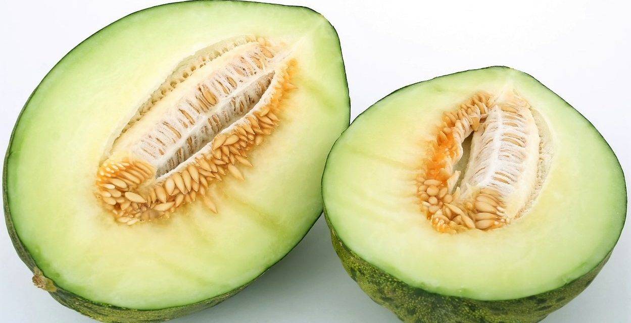 Diversidad y formas de los melones
