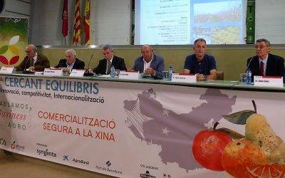 Las OPFH como modelo europeo para la mejora de la eficiencia del comercio de frutas y hortalizas