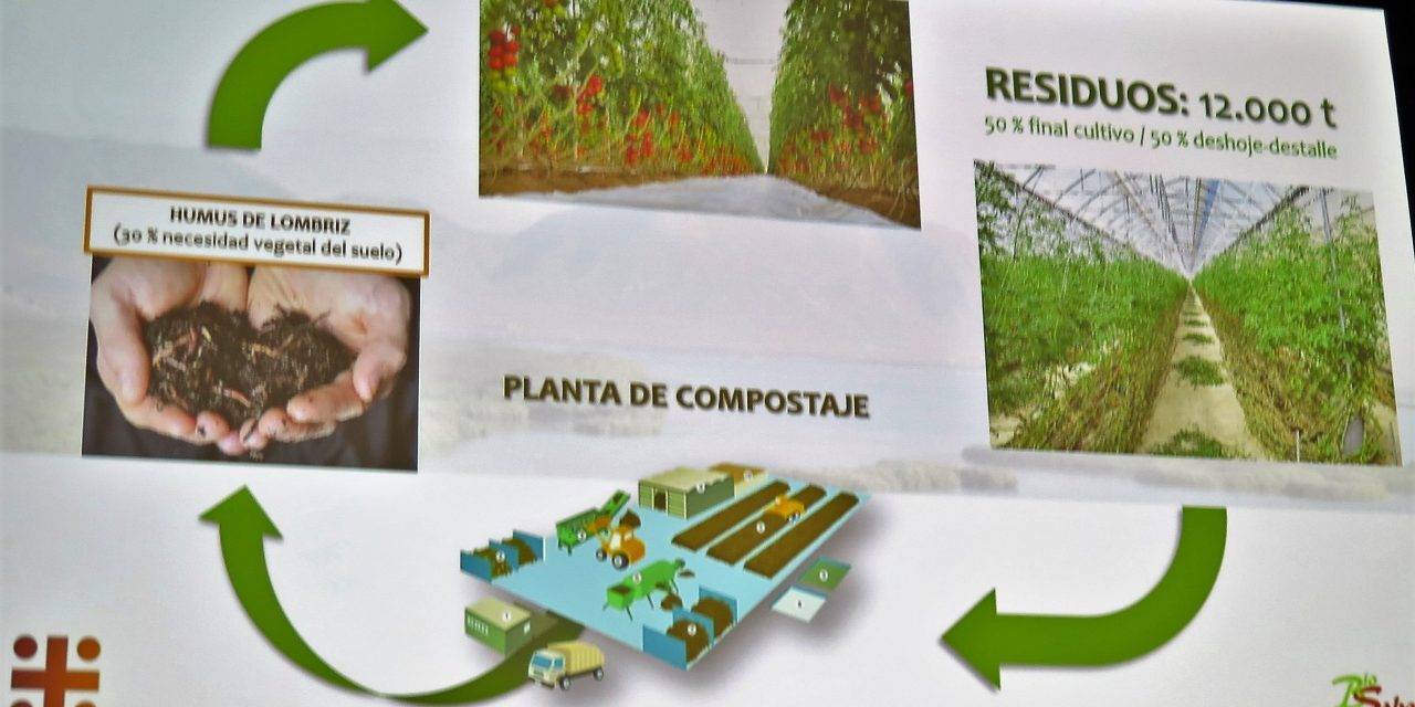 Prevención en el desperdicio alimentario y el caso de éxito de BioSabor en la industria hortícola