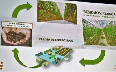 Prevención en el desperdicio alimentario y el caso de éxito de BioSabor en la industria hortícola