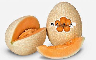 Waikiki un melón exquisito