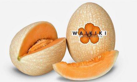 Waikiki un melón exquisito