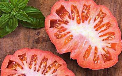 La Sunset en Estados Unidos tendrá tomate Monterosa