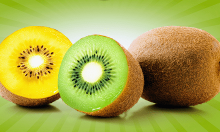 El kiwi orgánico “Sweeki Organic”