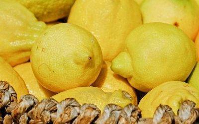 Beneficios, propiedades y usos del limón