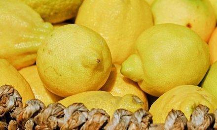 Beneficios, propiedades y usos del limón