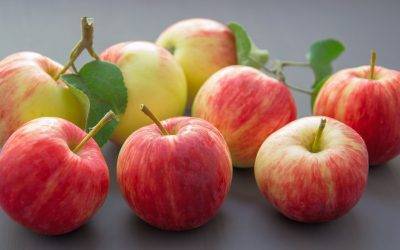 La manzana, un alimento envidiable ante otras frutas, una muy buena fuente de potasio y pectina