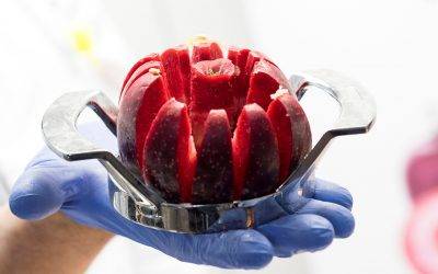 Kissabel®, un éxito entre los consumidores europeos