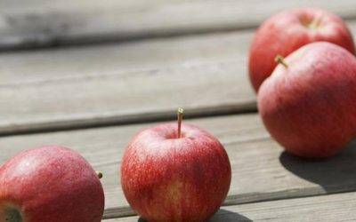 VOG, año nuevo, sitio también nuevo en Internet