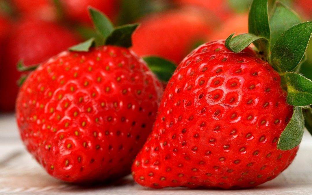 Las fresas anuncian la primavera