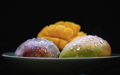 El mango y los componentes bioactivos