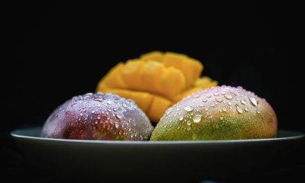 El mango y los componentes bioactivos