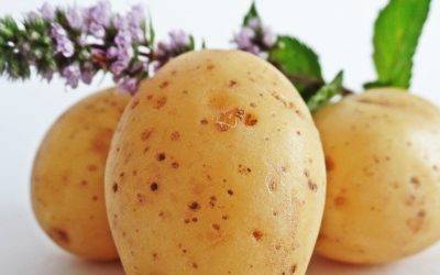 Siete beneficios probados de las patatas que se conocen poco