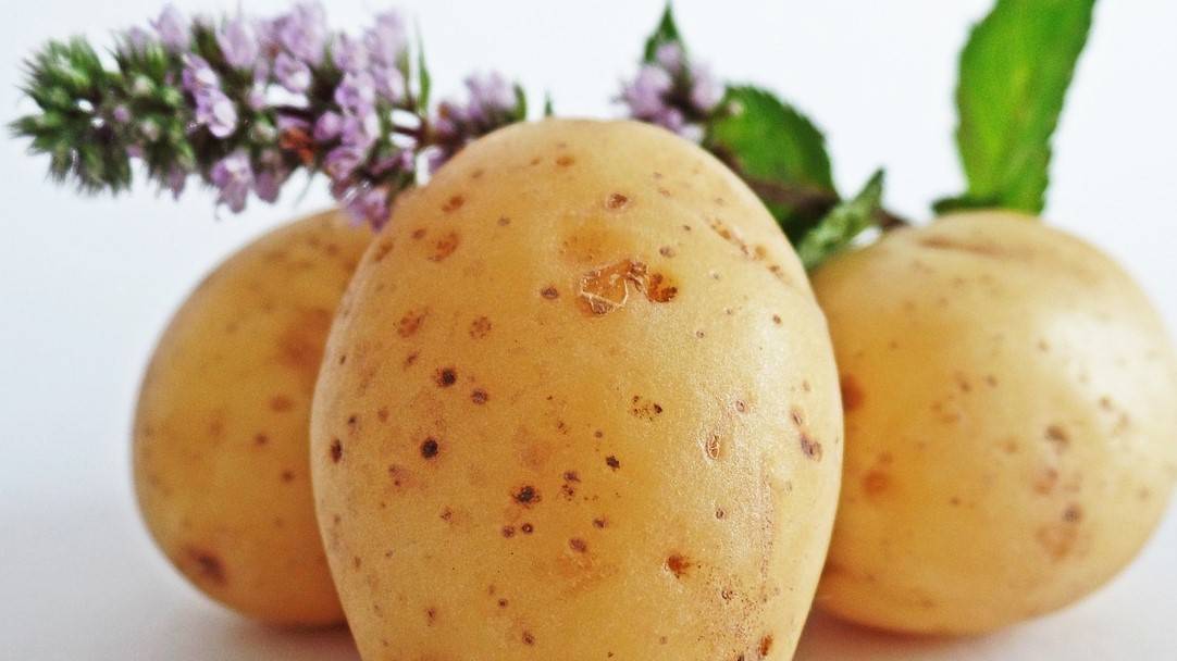 7 benefits of the potatoes that may be you don´t know