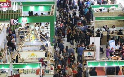BioCultura celebra sus 5 lustros de existencia alcanzando un récord de visitantes