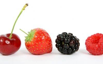 Los berries, una golosina sin azúcares añadidos, buena para todos
