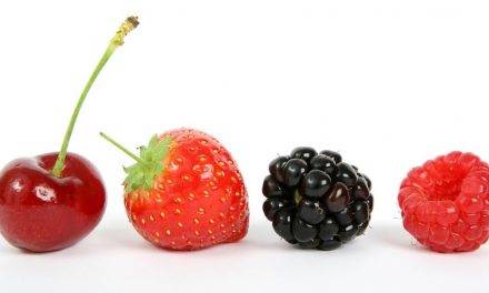 Los berries, una golosina sin azúcares añadidos, buena para todos
