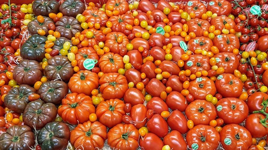 Los tomates y la diversidad