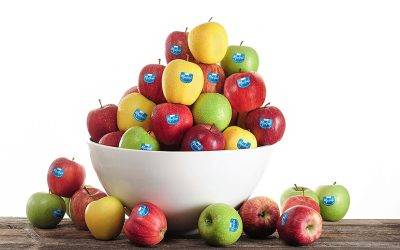 Marlene® regresa a los mercados