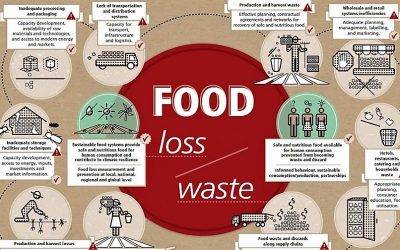 El desperdicio alimentario y la poscosecha