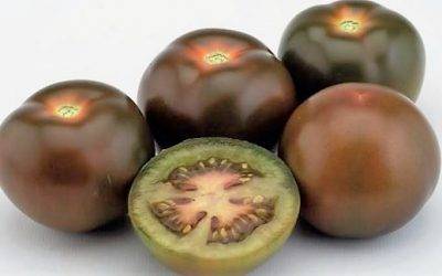 Hay tomates de la variedad Kumato® con etiqueta BIO