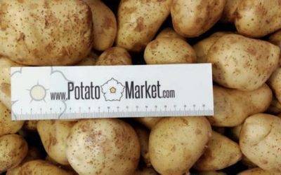 Si eres una tienda puedes comprar las patatas on line