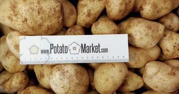 Si eres una tienda puedes comprar las patatas on line