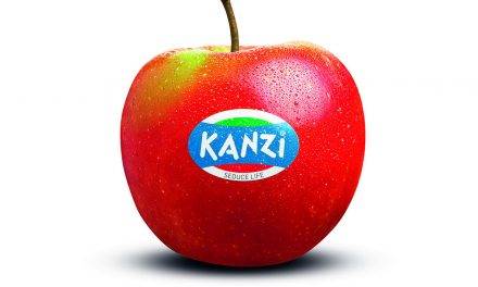 KANZI® Vuelve con su sabor extraordinario y un concurso dedicado a la música