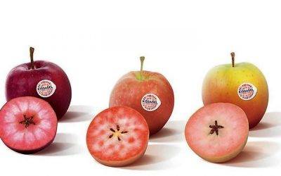Kissabel® una marca de manzanas con un sorprendente color rojo