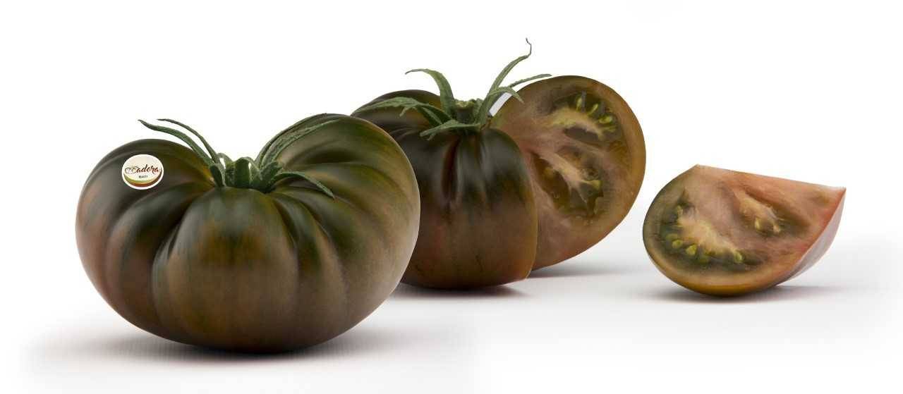 Cooperativa La Palma presenta en Fruit Attraction sus nuevas experiencias en ‘Tomate con Sabor más Intenso’