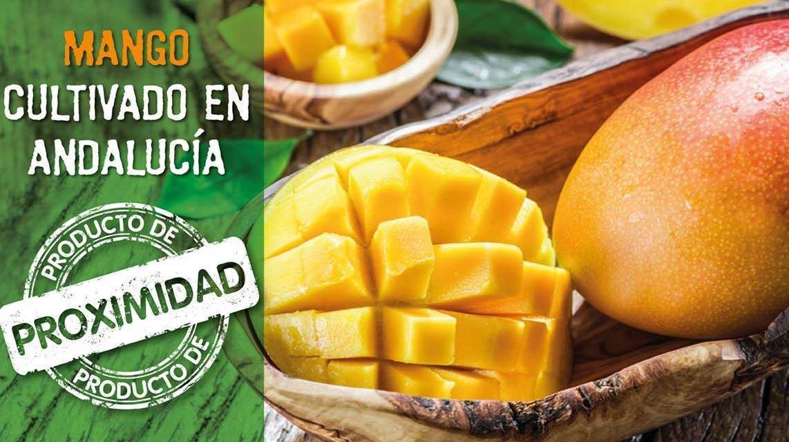 La salsa de mango de Frutas Montosa le sigue los pasos al guacamole