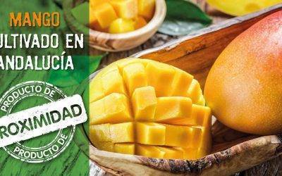 La salsa de mango de Frutas Montosa le sigue los pasos al guacamole