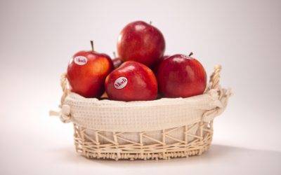 CIV at INTERPOMA Bolzano 2018