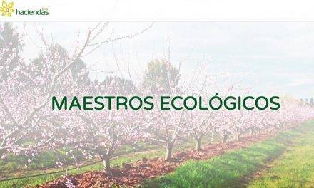 HaciendasBio, el mayor productor de fruta y verdura ecológica de España 