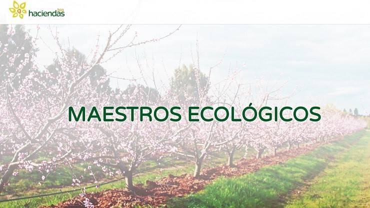 HaciendasBio, el mayor productor de fruta y verdura ecológica de España 