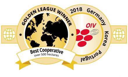 Anecoop Bodegas, Cooperativa Vinícola del mundo en la Golden League’18