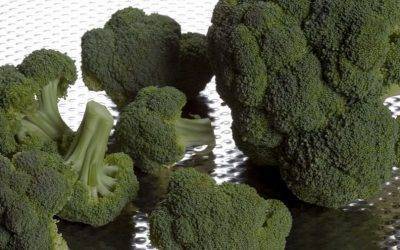 Polvo de brócoli y más