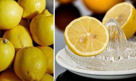 El limón…, justificadamente de moda