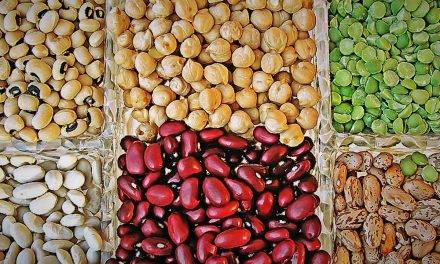 Las asequibles legumbres son proteínas y aminoácidos para una dieta saludable