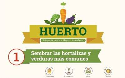 Consejos para cumplir el sueño del huerto propio