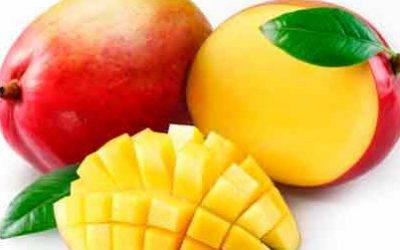 El Mango de México se marca como objetivo tener su propia etiqueta de calidad